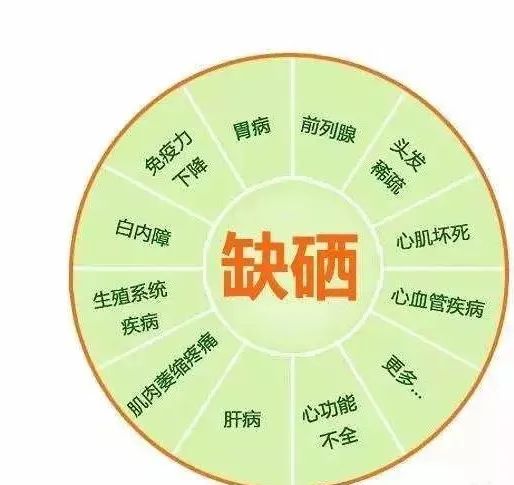 巴马的富硒大米(大米巴马富硒含量高吗)-硒宝网