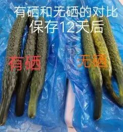 巴马的富硒大米(大米巴马富硒含量高吗)-硒宝网