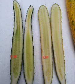 巴马的富硒大米(大米巴马富硒含量高吗)-硒宝网