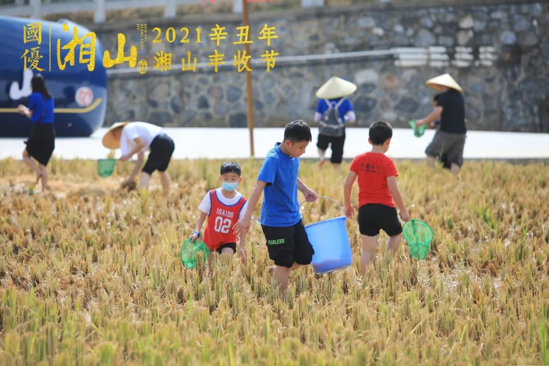 富硒大米的意思（富硒大米的营养成分表）-硒宝网