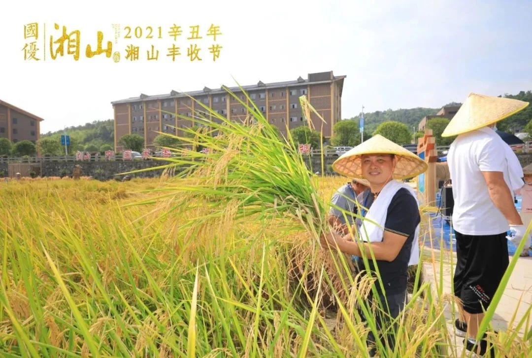 富硒大米的意思（富硒大米的营养成分表）-硒宝网