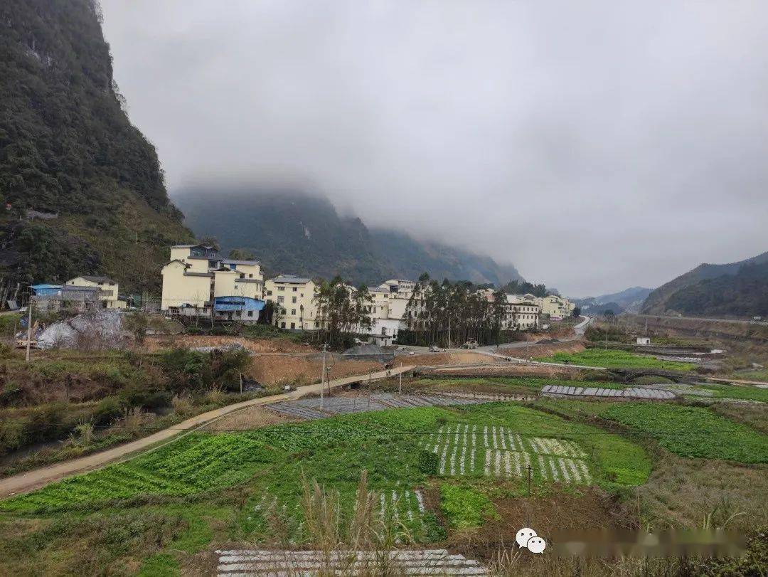 富硒大米抗氧化（大米氧化抗富硒的原因）-硒宝网