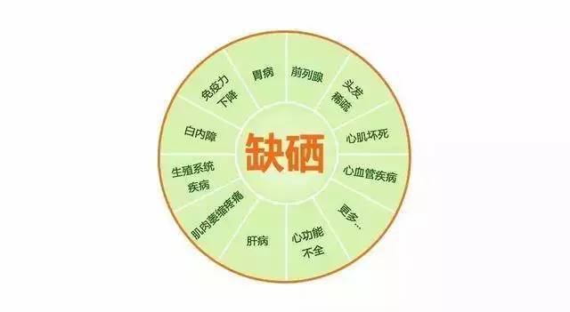 富硒大米是何意（富硒大米中富含的营养物质）-硒宝网