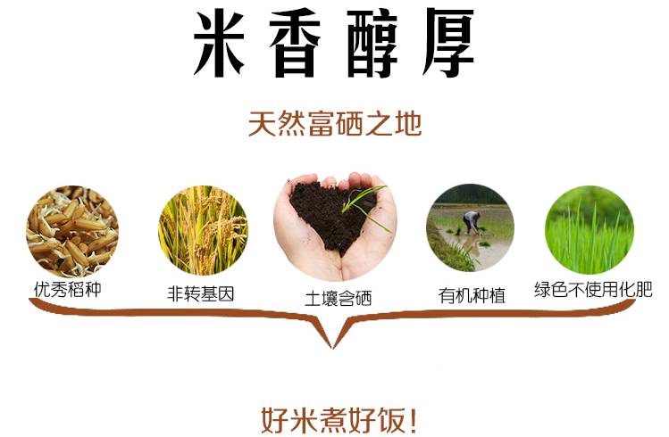 富硒高蛋白大米(大米蛋白富硒高的原因)-硒宝网