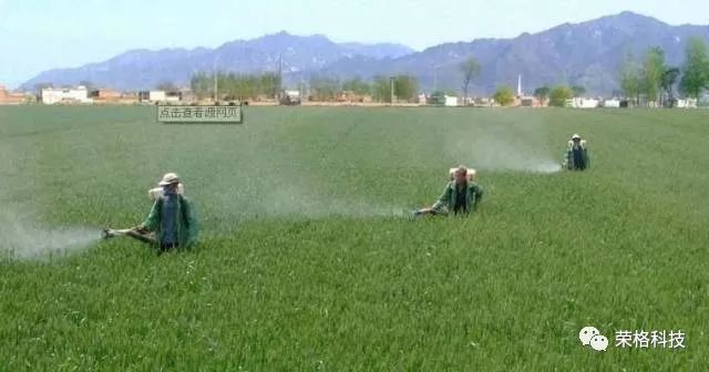 哪种富硒大米好（大米种富硒好吃吗）-硒宝网