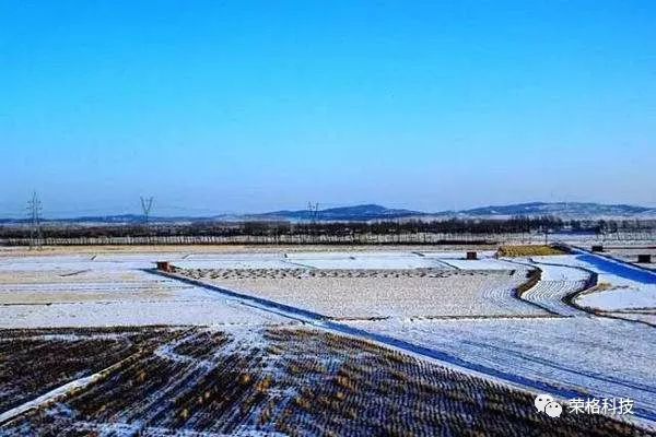 哪种富硒大米好（大米种富硒好吃吗）-硒宝网