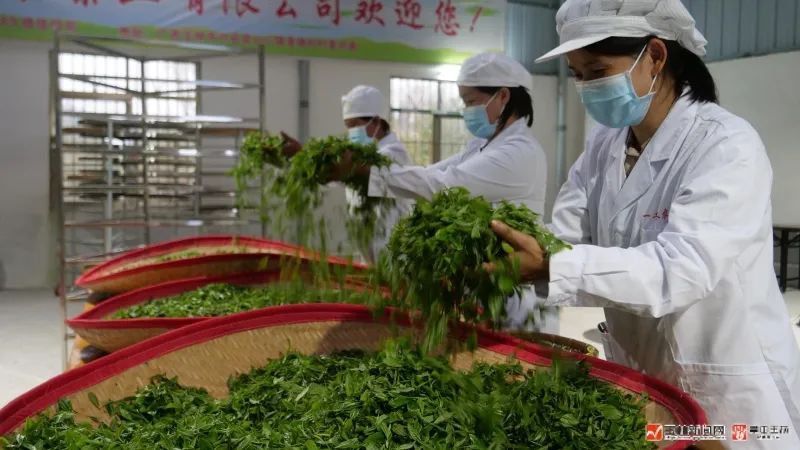 富硒大米 蒲塘(蒲塘富硒大米价格)-硒宝网