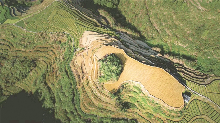 张掖富硒锌大米（张掖大米硒元素含量高的原因）-硒宝网