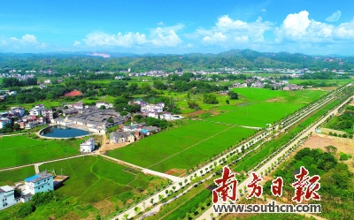 西坑乡富硒大米(富硒大米一般多少钱一斤)-硒宝网