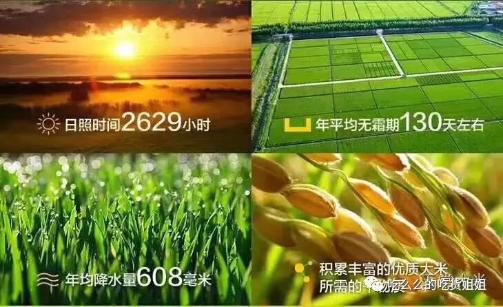 富硒大米的限制（大米限制富硒食品吗）-硒宝网