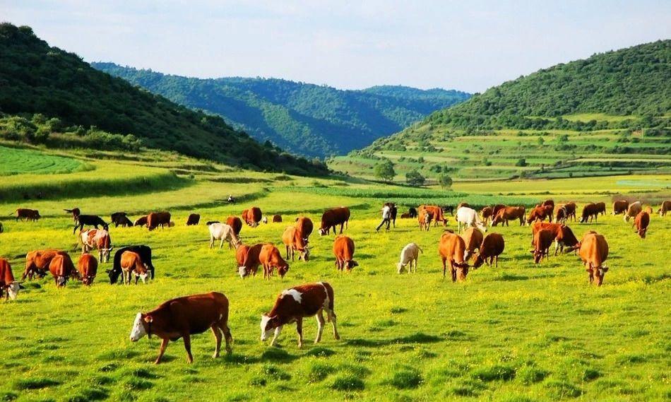 免费拿富硒大米(富硒大米能补硒吗)-硒宝网