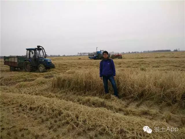 哪种富硒大米好(富硒大米好在哪)-硒宝网