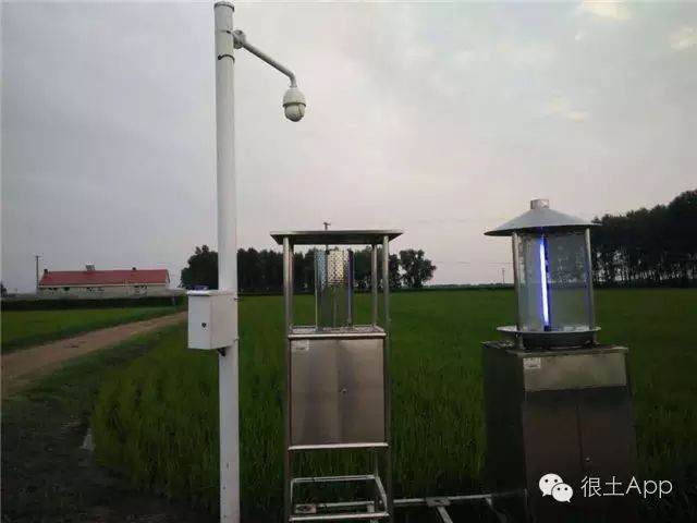 哪种富硒大米好(富硒大米好在哪)-硒宝网