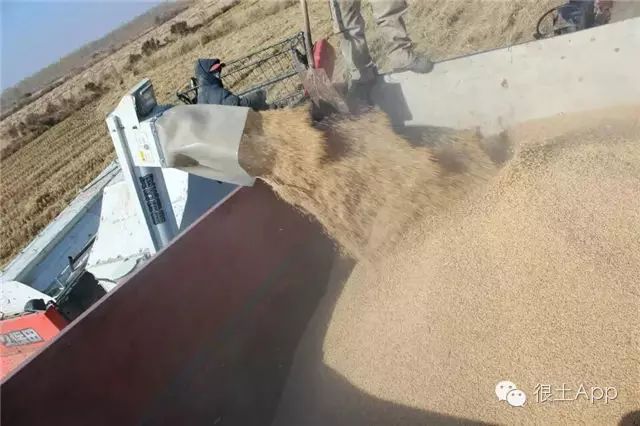 哪种富硒大米好(富硒大米好在哪)-硒宝网