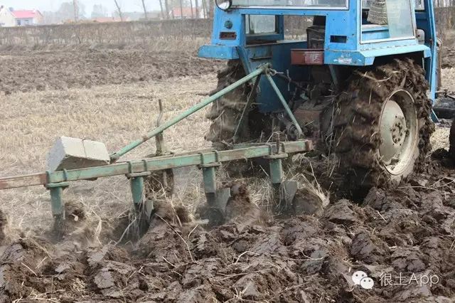 哪种富硒大米好(富硒大米好在哪)-硒宝网