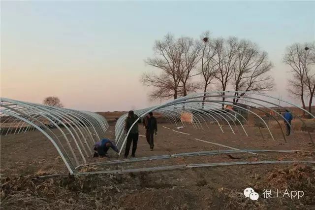 哪种富硒大米好(富硒大米好在哪)-硒宝网