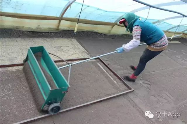 哪种富硒大米好(富硒大米好在哪)-硒宝网