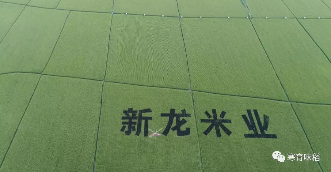 富硒大米很吃水(大米吃富硒水会胖吗)-硒宝网