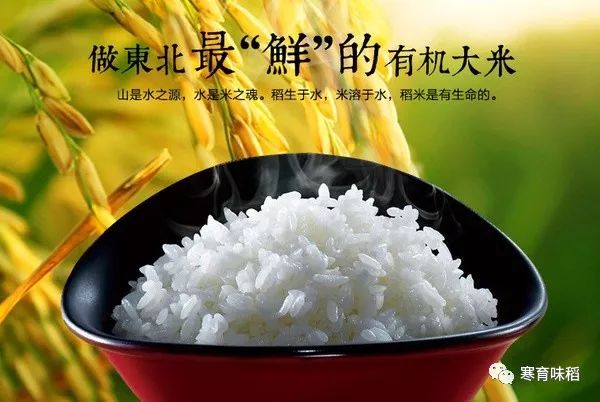 富硒大米很吃水(大米吃富硒水会胖吗)-硒宝网