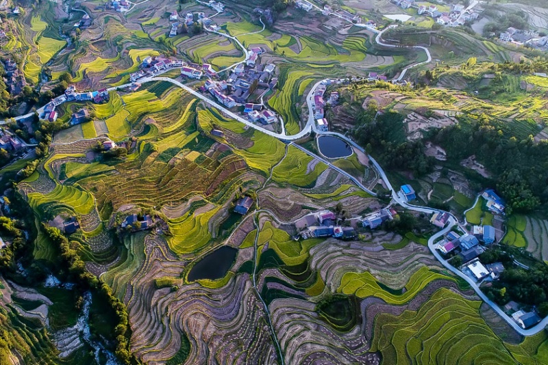 漩涡镇富硒大米(富硒大米传销)-硒宝网