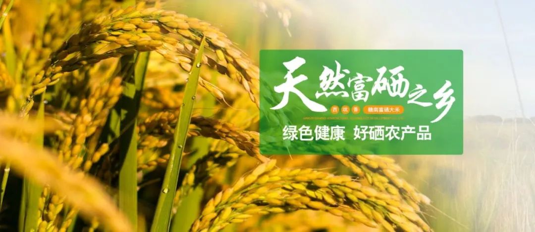 西坑香富硒大米（富硒香米好吗）-硒宝网