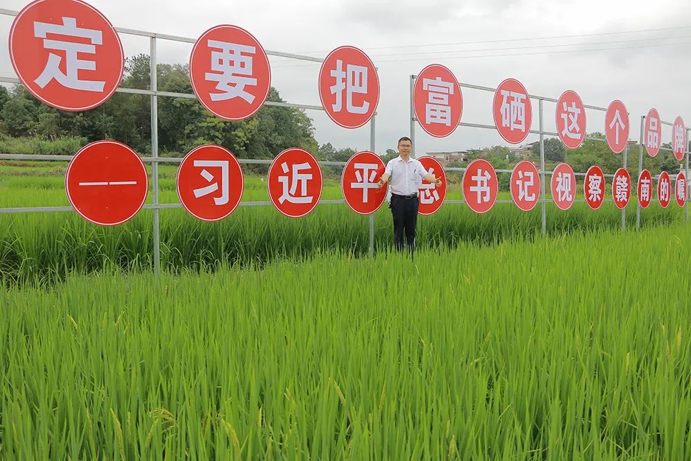西坑香富硒大米（富硒香米好吗）-硒宝网