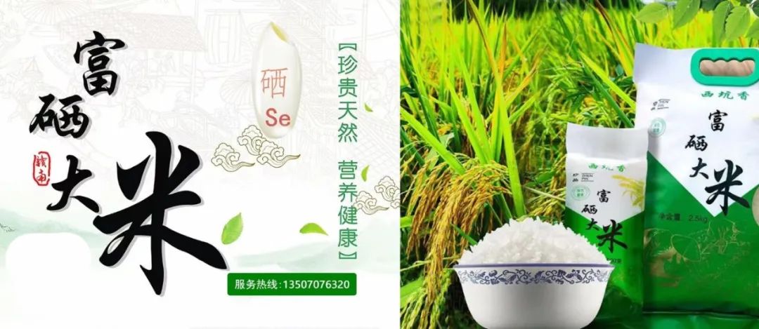 西坑香富硒大米（富硒香米好吗）-硒宝网