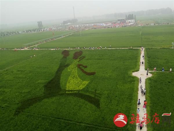 大农庄富硒大米(富硒优质大米)-硒宝网