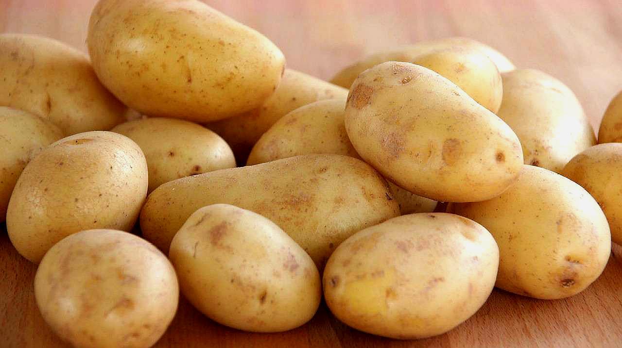 孩子吃富硒大米(大米吃富硒孩子能吃吗)-硒宝网