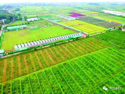 南京富硒锌大米（江苏富硒大米）-硒宝网