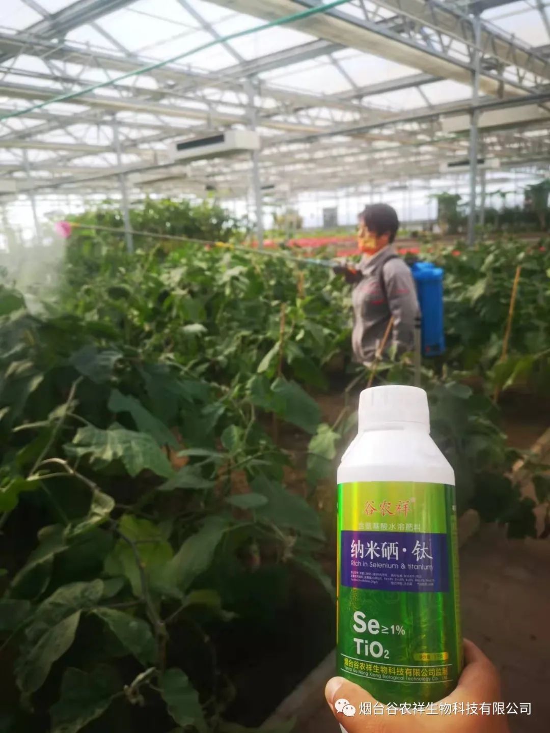 富硒大米的限制(大米限制富硒含量吗)-硒宝网