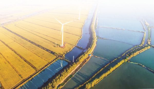 宿州富硒锌大米(锌硒大米多少钱一斤)-硒宝网