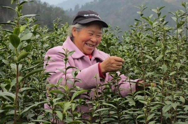 夫妻树富硒大米（富硒大米产地）-硒宝网