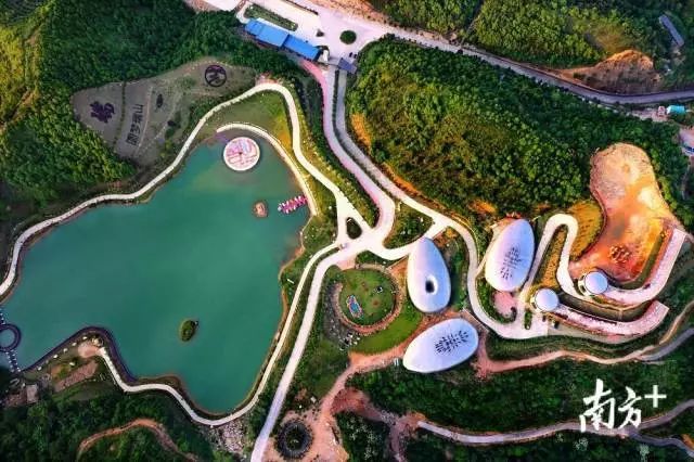 富硒大米蕉岭镇（富硒大米多少钱一公斤）-硒宝网