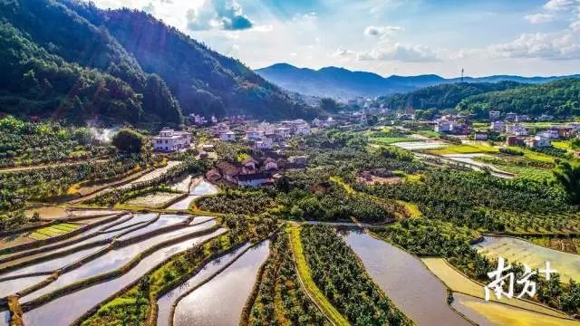 富硒大米蕉岭镇（富硒大米多少钱一公斤）-硒宝网