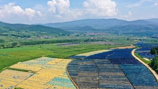 吉林富硒大米姐（东北富硒大米）-硒宝网