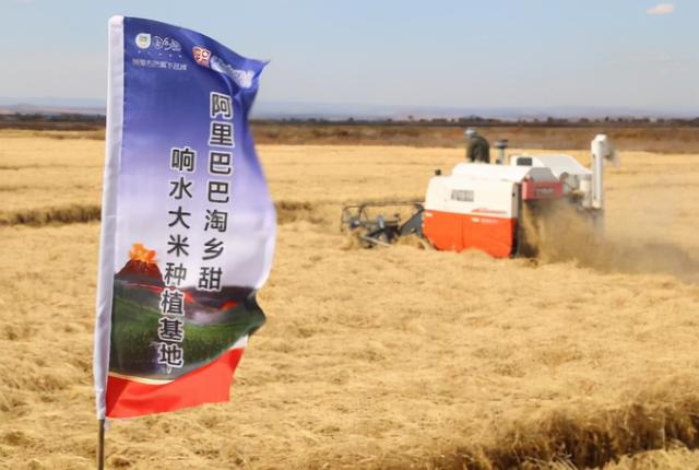 富硒大米产自哪（富硒大米含量最高的有多少）-硒宝网