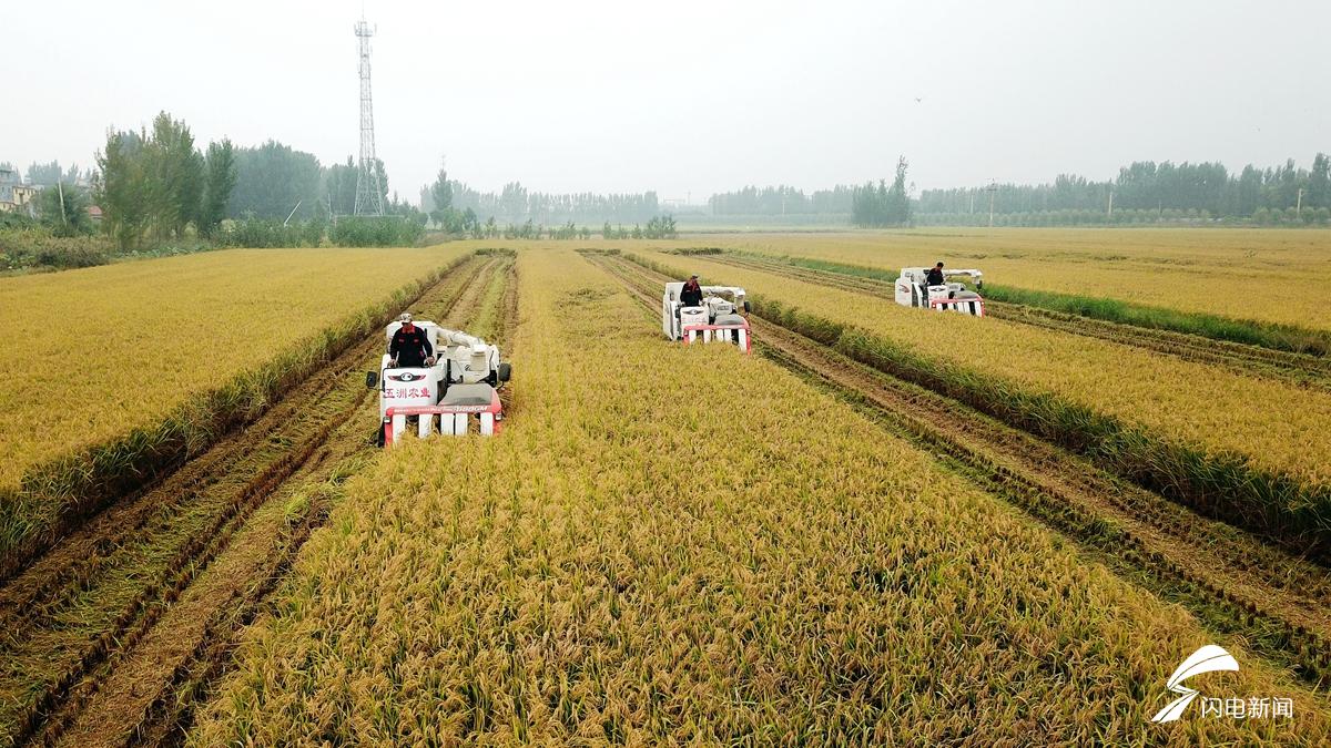 宁老汉富硒大米(富硒大米口感如何)-硒宝网