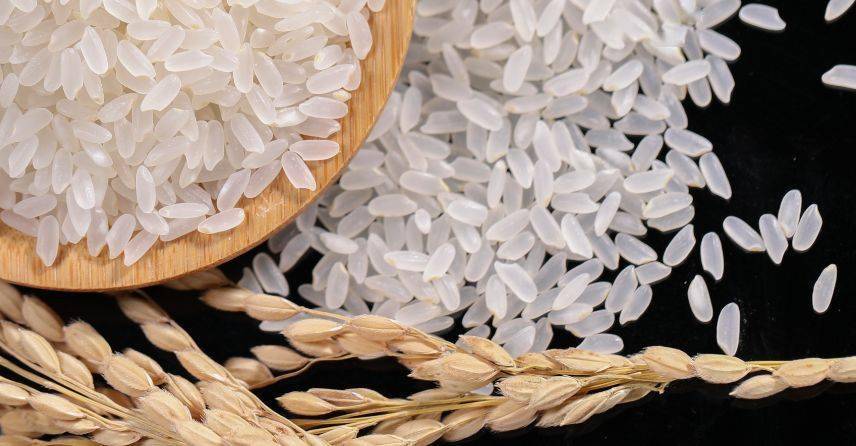 海伦产富硒大米（海伦富硒小米）-硒宝网