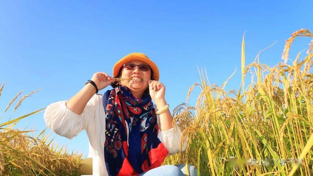 海伦产富硒大米（海伦富硒小米）-硒宝网