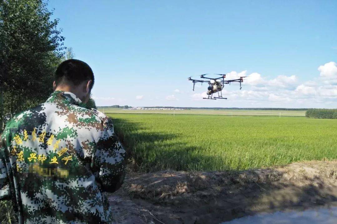 海伦产富硒大米（海伦富硒小米）-硒宝网