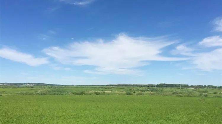 海伦产富硒大米（海伦富硒小米）-硒宝网