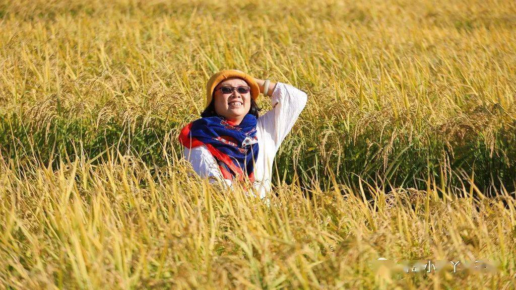 海伦产富硒大米（海伦富硒小米）-硒宝网