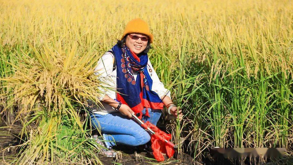 海伦产富硒大米（海伦富硒小米）-硒宝网