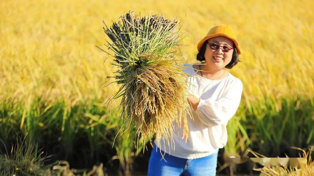 海伦产富硒大米（海伦富硒小米）-硒宝网