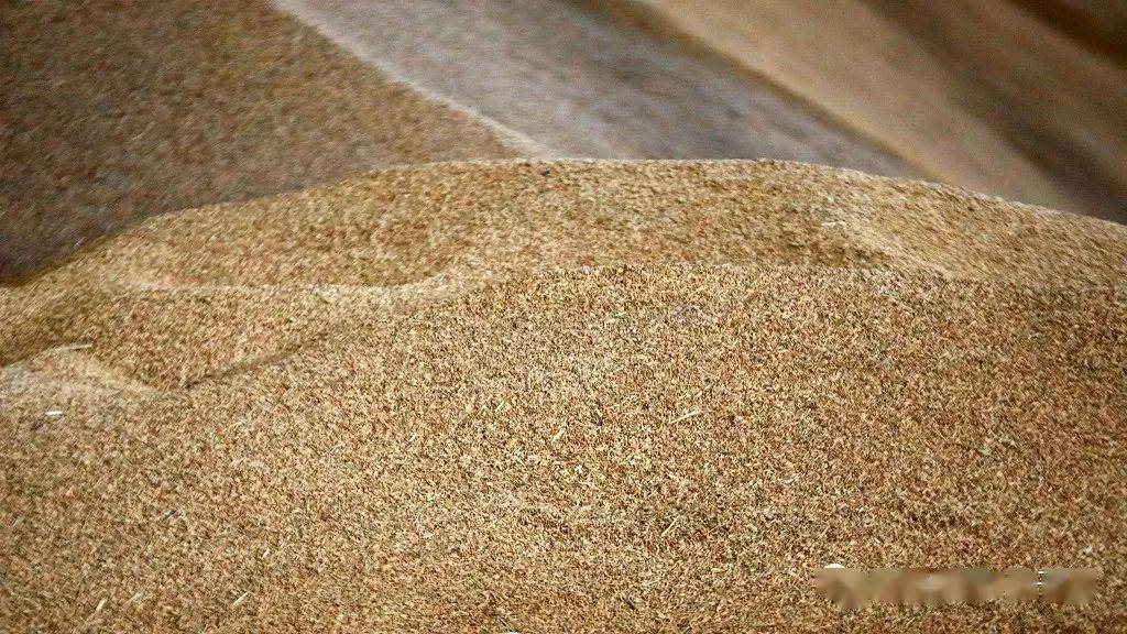 海伦产富硒大米（海伦富硒小米）-硒宝网