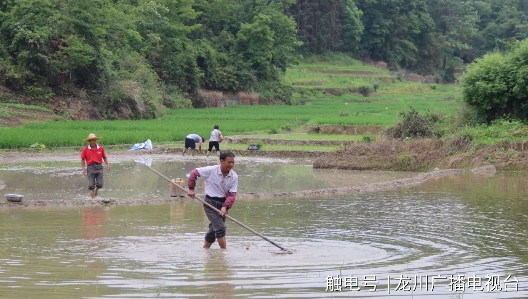 新希望富硒大米（富硒的大米）-硒宝网