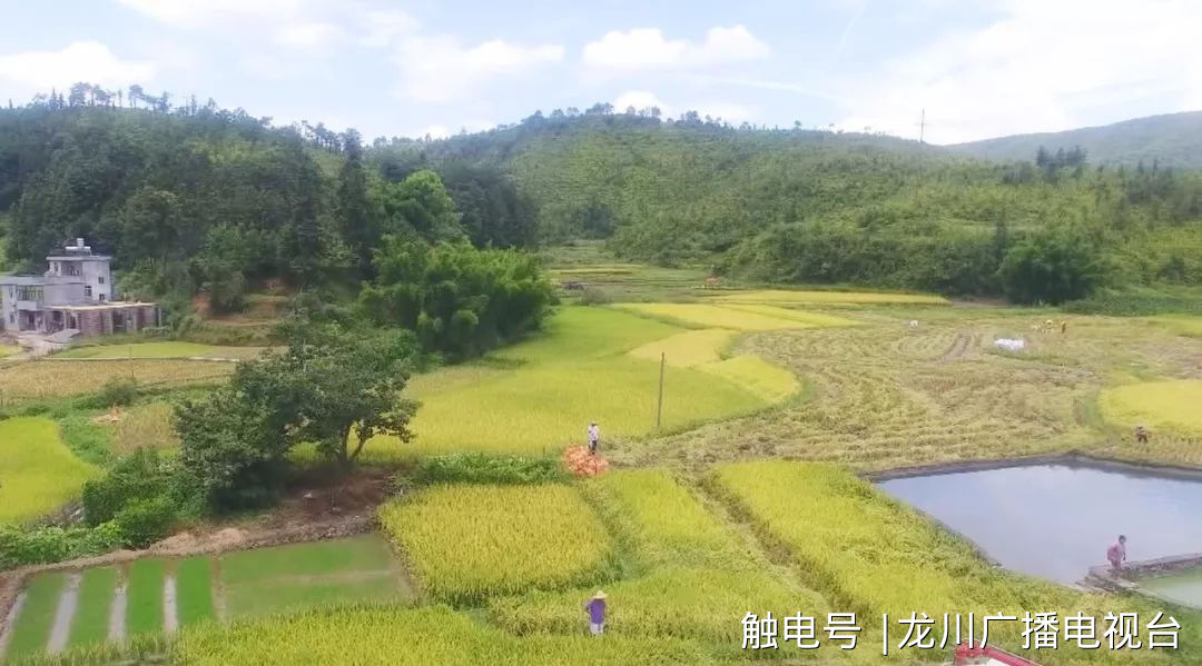 新希望富硒大米（富硒的大米）-硒宝网