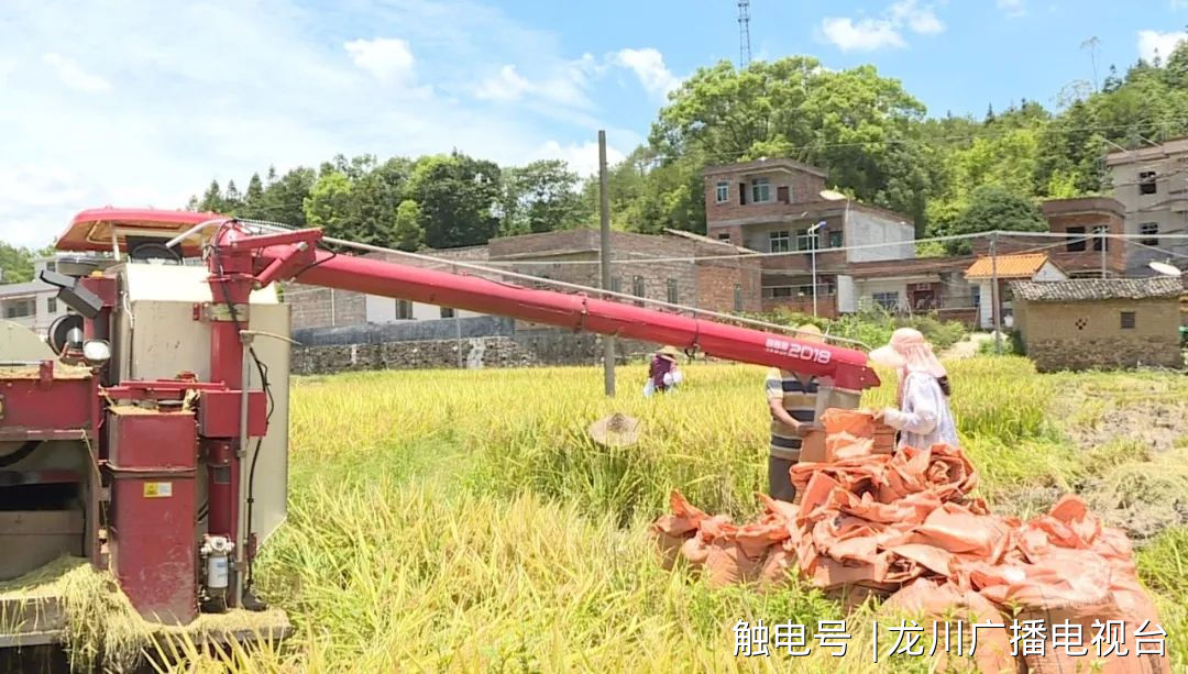 新希望富硒大米（富硒的大米）-硒宝网