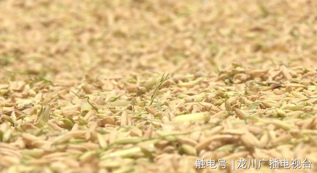 新希望富硒大米（富硒的大米）-硒宝网